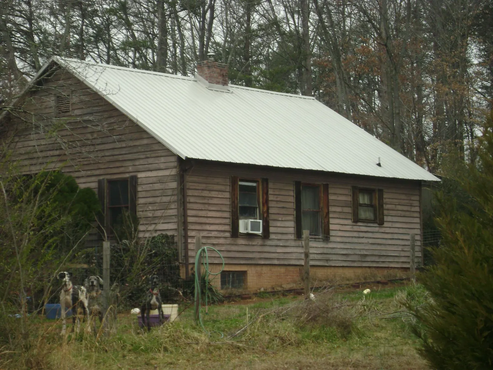 White metal roof on an old wood sided farmhouse, from a Asphalt Shingle Roof Repair job in Caldwell